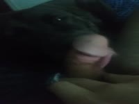 My Dog's Wet Warm Tongue Feels So Good!